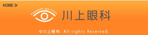 川上眼科-サイトトップへ